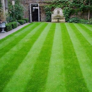 striped lawn